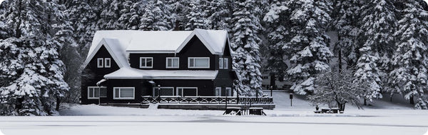 Prevent Costly Damage in Any Climate